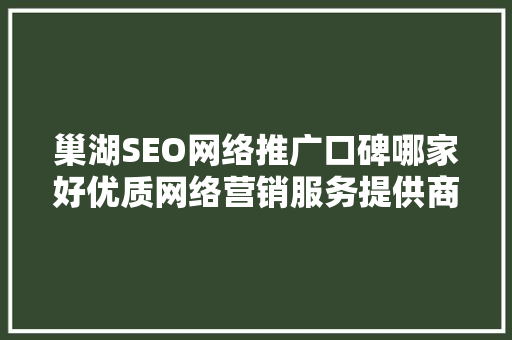 巢湖SEO网络推广口碑哪家好优质网络营销服务提供商