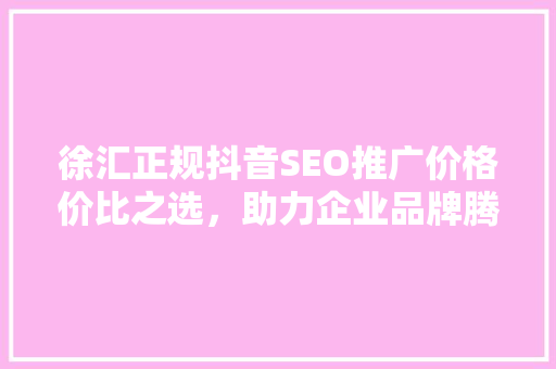 徐汇正规抖音SEO推广价格价比之选，助力企业品牌腾飞