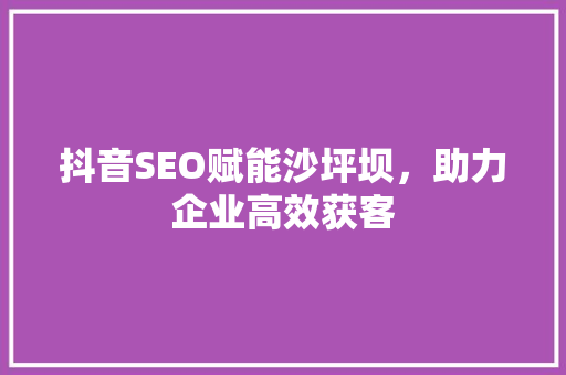 抖音SEO赋能沙坪坝，助力企业高效获客  第1张