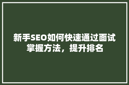 新手SEO如何快速通过面试掌握方法，提升排名
