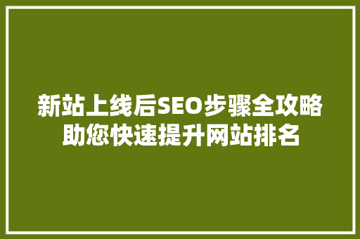 新站上线后SEO步骤全攻略助您快速提升网站排名