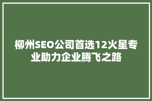 柳州SEO公司首选12火星专业助力企业腾飞之路