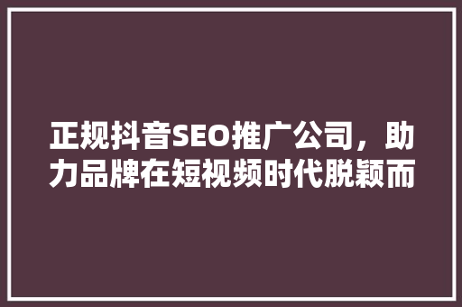 正规抖音SEO推广公司，助力品牌在短视频时代脱颖而出