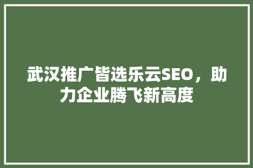 武汉推广皆选乐云SEO，助力企业腾飞新高度