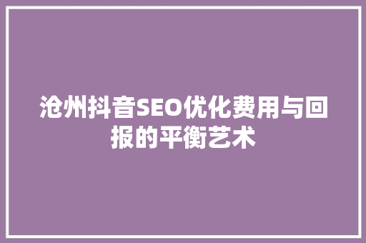 沧州抖音SEO优化费用与回报的平衡艺术