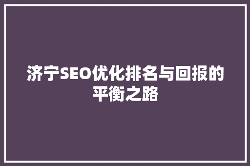 济宁SEO优化排名与回报的平衡之路