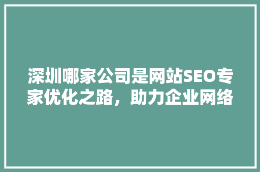 深圳哪家公司是网站SEO专家优化之路，助力企业网络腾飞