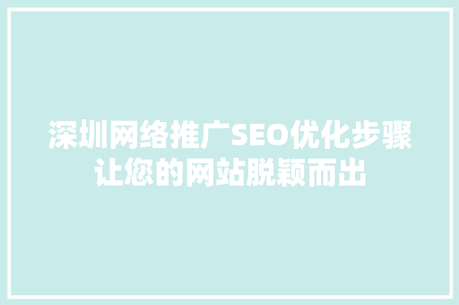 深圳网络推广SEO优化步骤让您的网站脱颖而出