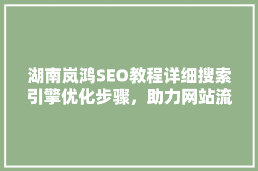 湖南岚鸿SEO教程详细搜索引擎优化步骤，助力网站流量翻倍