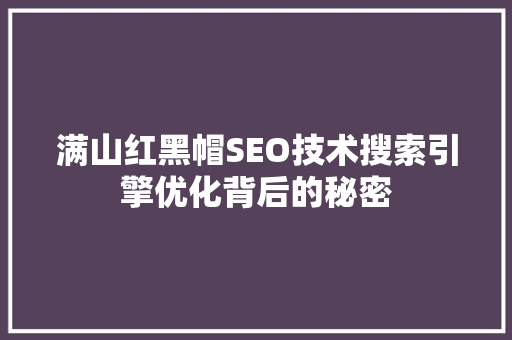 满山红黑帽SEO技术搜索引擎优化背后的秘密  第1张