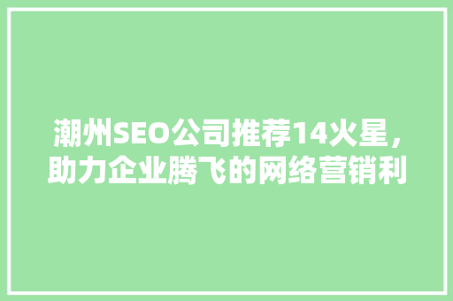 潮州SEO公司推荐14火星，助力企业腾飞的网络营销利器