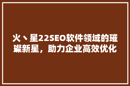 火丶星22SEO软件领域的璀璨新星，助力企业高效优化
