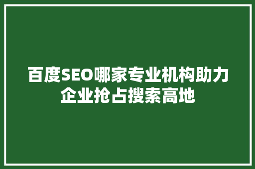 百度SEO哪家专业机构助力企业抢占搜索高地
