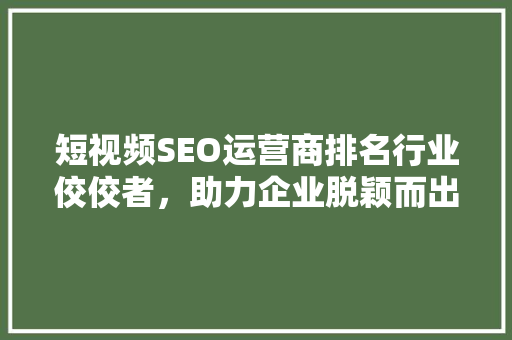 短视频SEO运营商排名行业佼佼者，助力企业脱颖而出