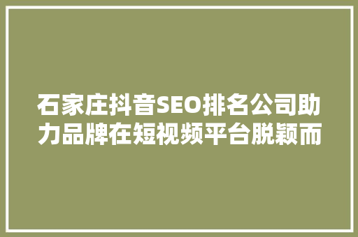 石家庄抖音SEO排名公司助力品牌在短视频平台脱颖而出