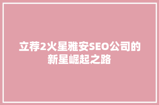立荐2火星雅安SEO公司的新星崛起之路