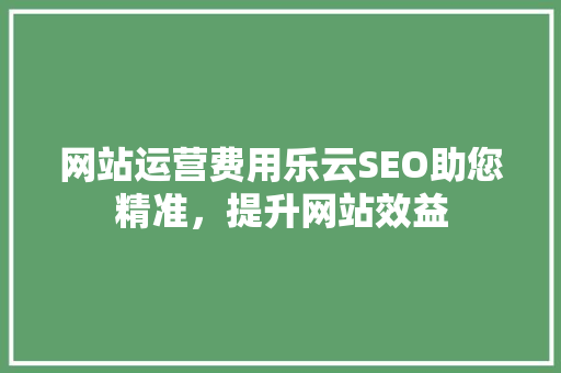 网站运营费用乐云SEO助您精准，提升网站效益