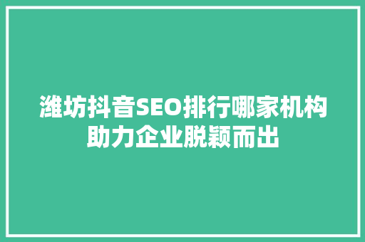潍坊抖音SEO排行哪家机构助力企业脱颖而出