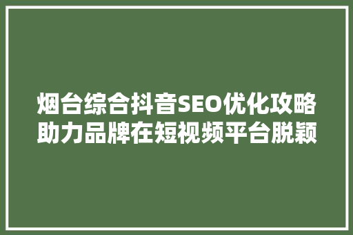烟台综合抖音SEO优化攻略助力品牌在短视频平台脱颖而出