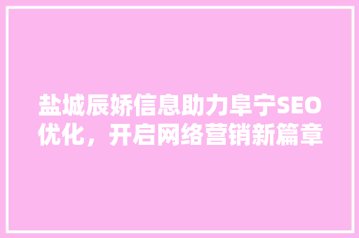 盐城辰娇信息助力阜宁SEO优化，开启网络营销新篇章