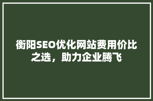 衡阳SEO优化网站费用价比之选，助力企业腾飞
