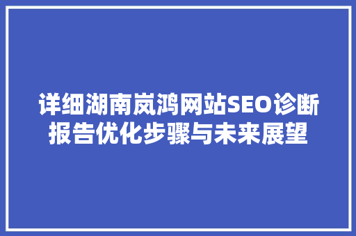 详细湖南岚鸿网站SEO诊断报告优化步骤与未来展望
