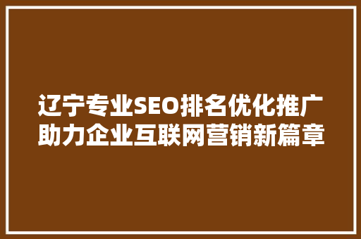 辽宁专业SEO排名优化推广助力企业互联网营销新篇章