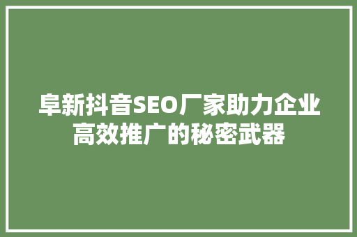 阜新抖音SEO厂家助力企业高效推广的秘密武器