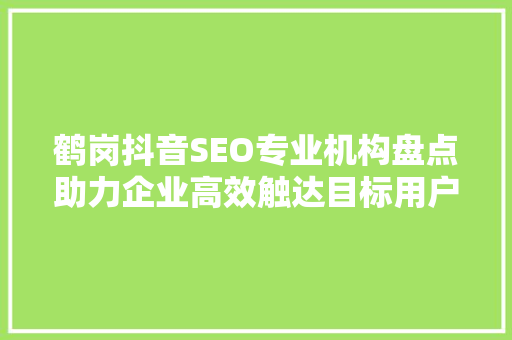 鹤岗抖音SEO专业机构盘点助力企业高效触达目标用户
