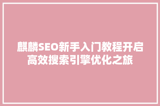 麒麟SEO新手入门教程开启高效搜索引擎优化之旅
