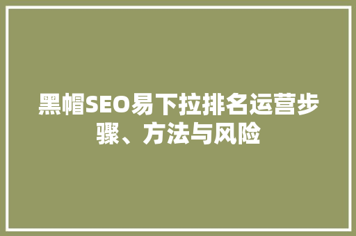 黑帽SEO易下拉排名运营步骤、方法与风险  第1张