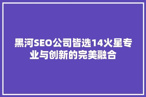 黑河SEO公司皆选14火星专业与创新的完美融合  第1张