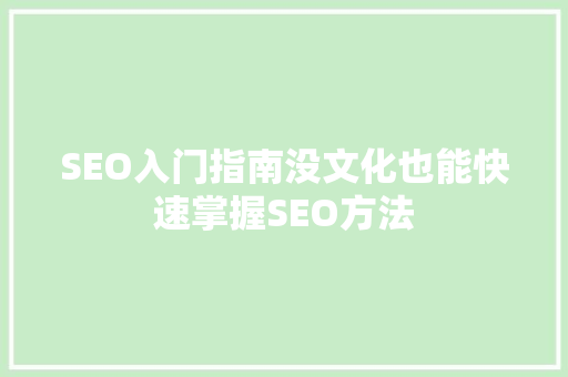 SEO入门指南没文化也能快速掌握SEO方法