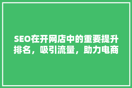 SEO在开网店中的重要提升排名，吸引流量，助力电商成功  第1张