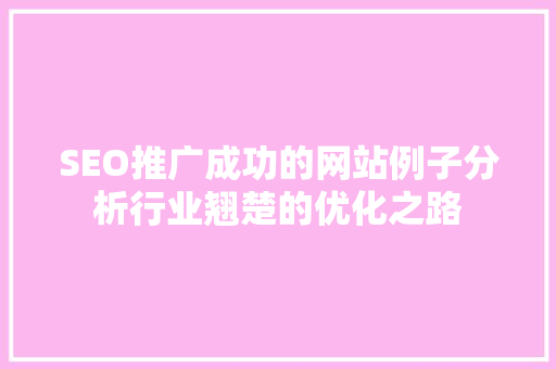 SEO推广成功的网站例子分析行业翘楚的优化之路
