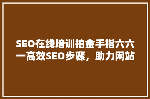 SEO在线培训拍金手指六六一高效SEO步骤，助力网站优化