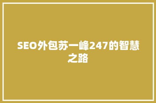 SEO外包苏一峰247的智慧之路