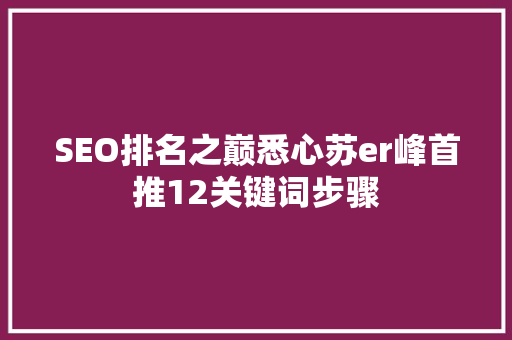 SEO排名之巅悉心苏er峰首推12关键词步骤  第1张