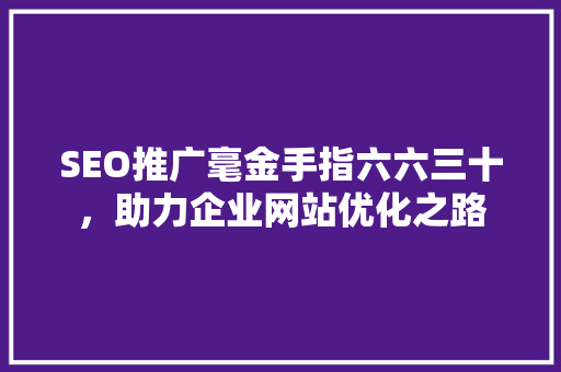 SEO推广毫金手指六六三十，助力企业网站优化之路