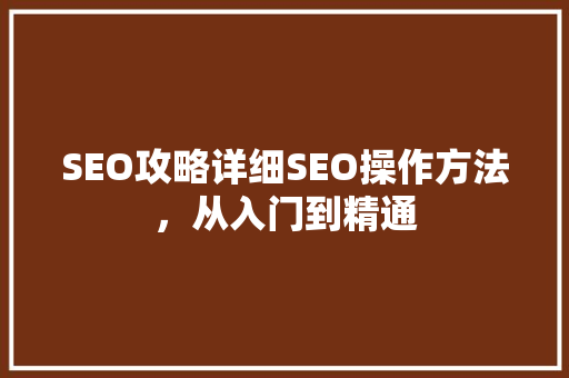 SEO攻略详细SEO操作方法，从入门到精通