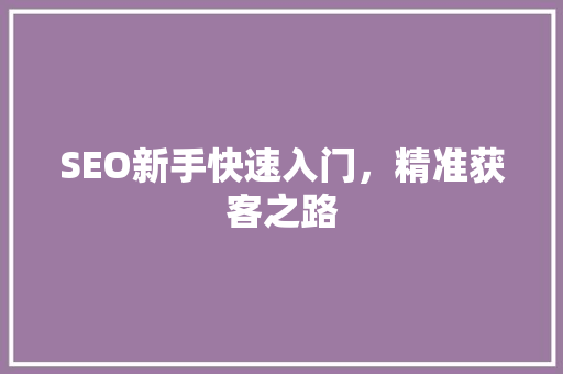 SEO新手快速入门，精准获客之路