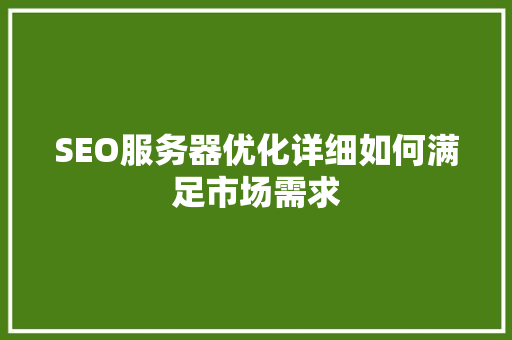 SEO服务器优化详细如何满足市场需求  第1张
