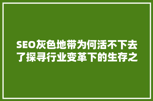 SEO灰色地带为何活不下去了探寻行业变革下的生存之路