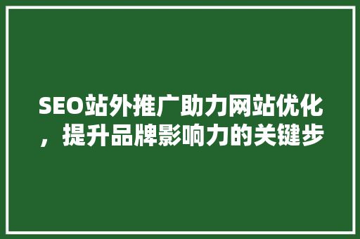 SEO站外推广助力网站优化，提升品牌影响力的关键步骤