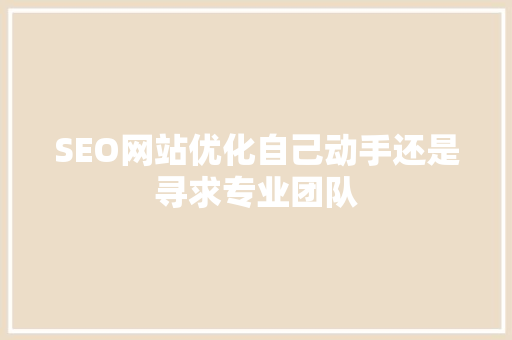 SEO网站优化自己动手还是寻求专业团队
