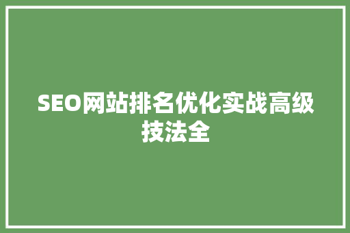 SEO网站排名优化实战高级技法全