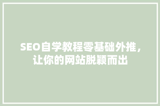 SEO自学教程零基础外推，让你的网站脱颖而出
