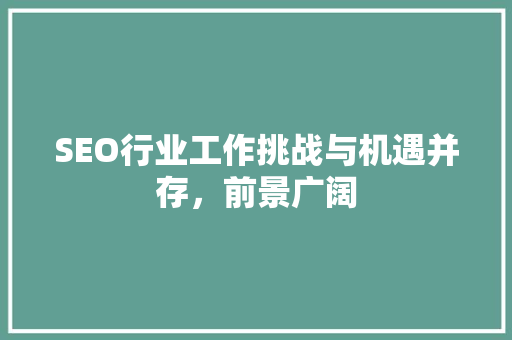 SEO行业工作挑战与机遇并存，前景广阔