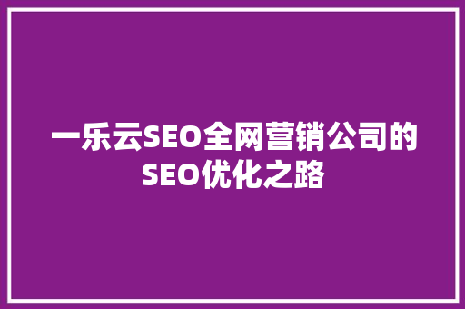 一乐云SEO全网营销公司的SEO优化之路