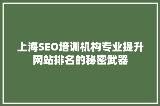 上海SEO培训机构专业提升网站排名的秘密武器